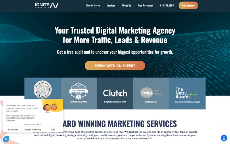 Ignite Visibility homepage